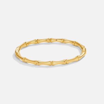 Ara Golden Bamboo Bangle – Noor & Rose